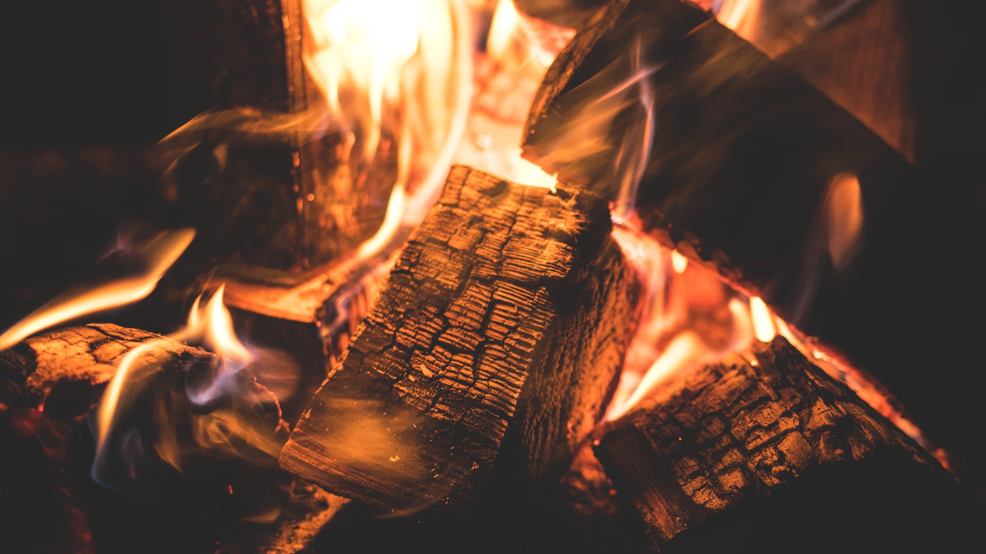 Bushcraft ve Kampçılık: Doğada Yaşam Sanatını Keşfedin